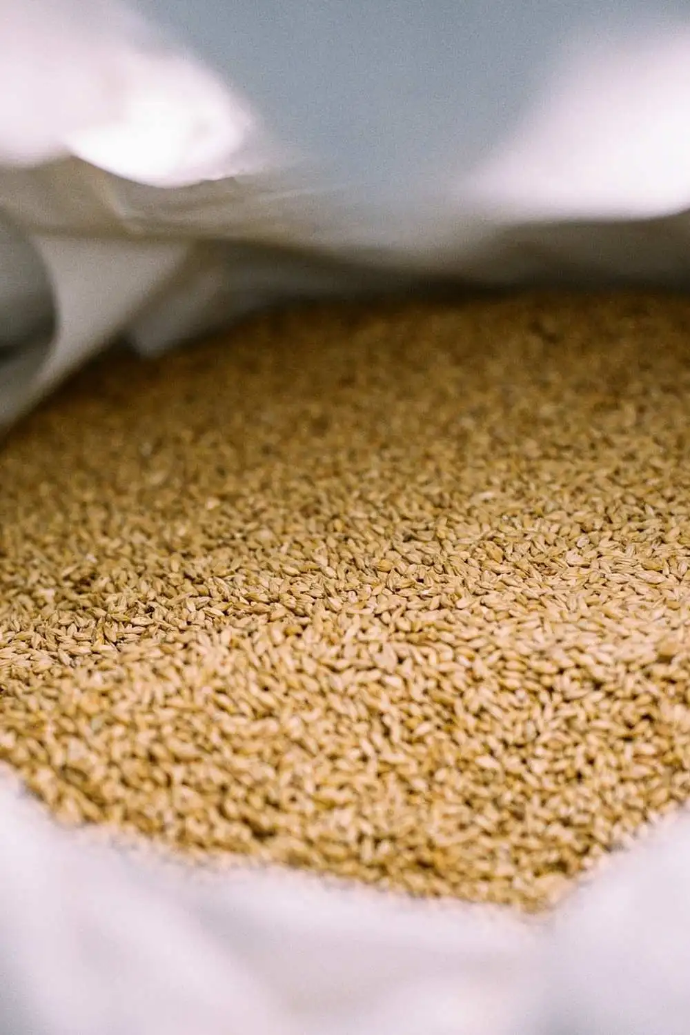 Gerstenmalz im Sack
